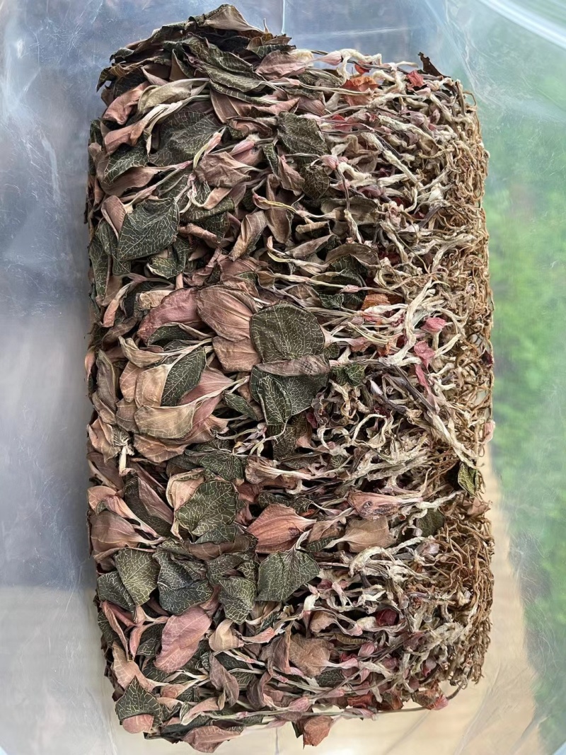 【优选台湾红霞金线莲】大量有货，整株无碎，品质保障