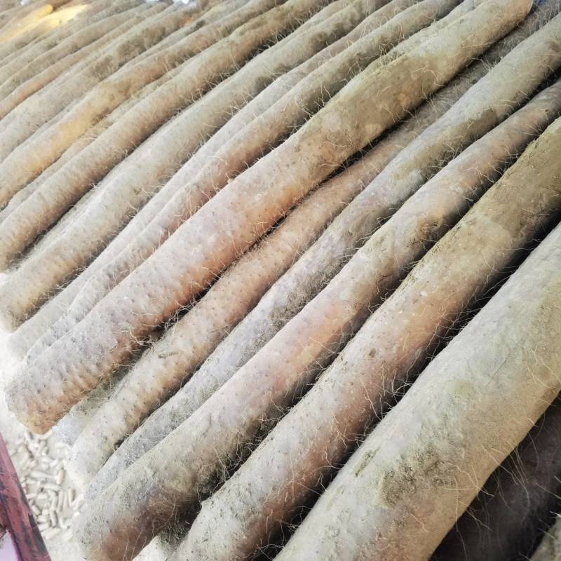 【推荐】湖北新鲜九斤黄山药量大价优品质保证对接全国