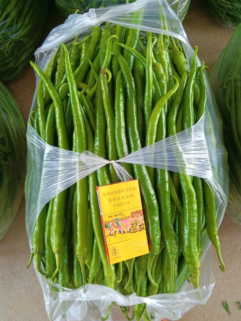 陕西汉中精品线辣，需要的客户快快联系质量保证货源充足