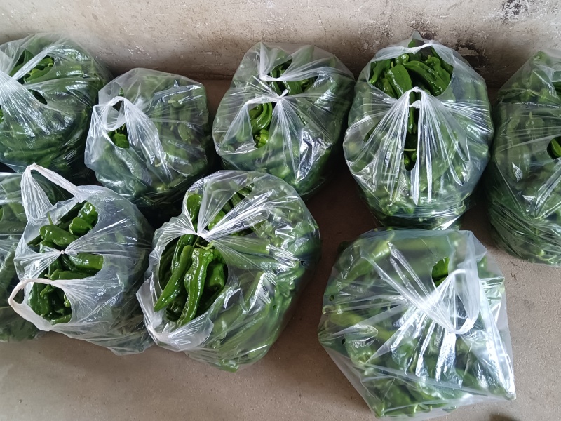 陕西汉中精品线辣，需要的客户快快联系质量保证货源充足
