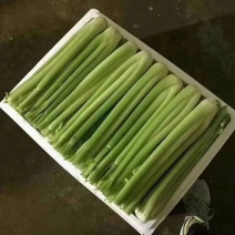 西芹