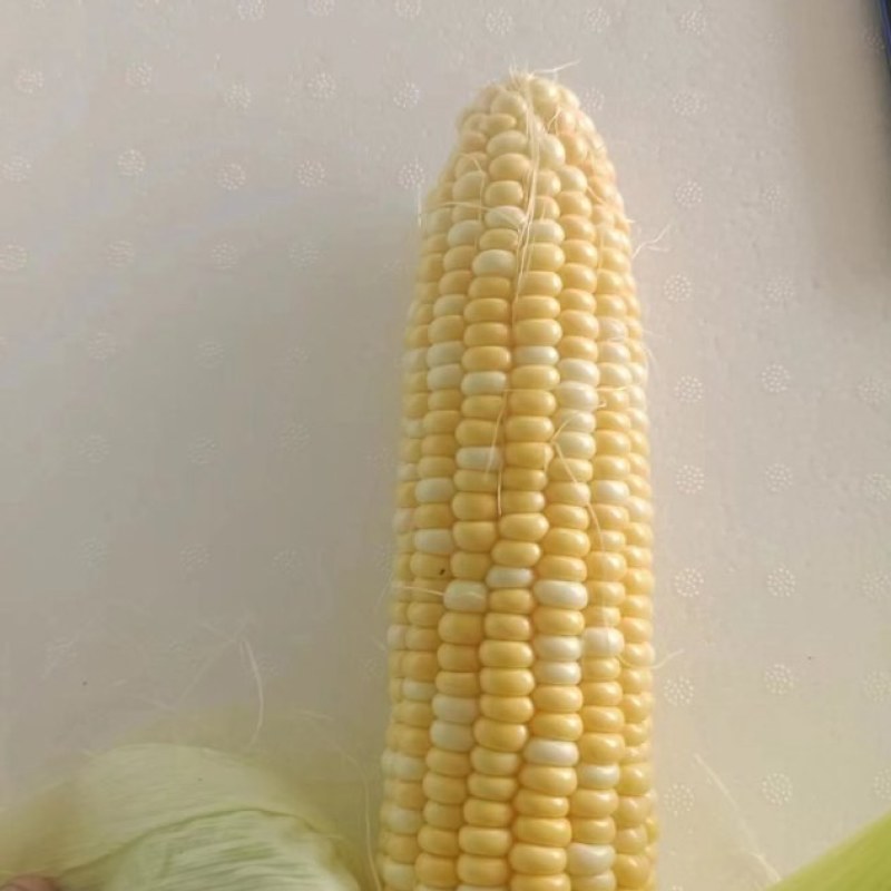 黄白水果玉米