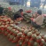 晓蜜25哈密瓜，产地直供，保质保量，对接市场，发全国
