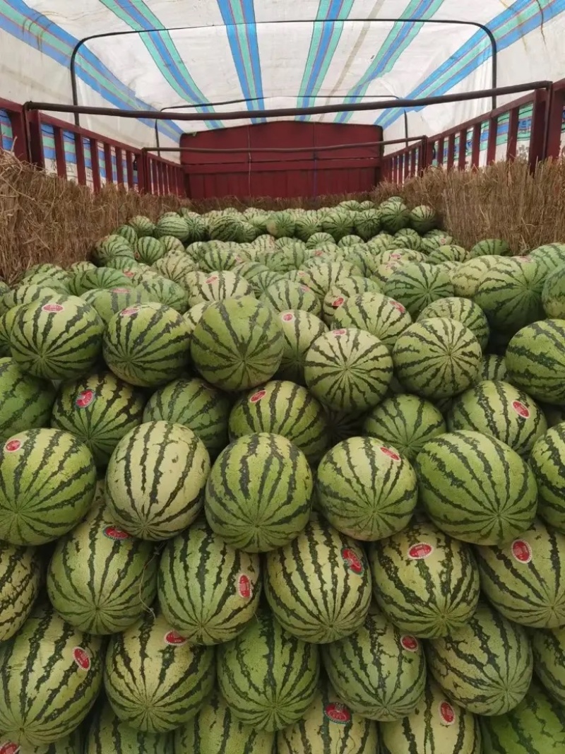 【硒砂瓜】湖北石头瓜湖北西瓜皮薄多汁包熟包甜