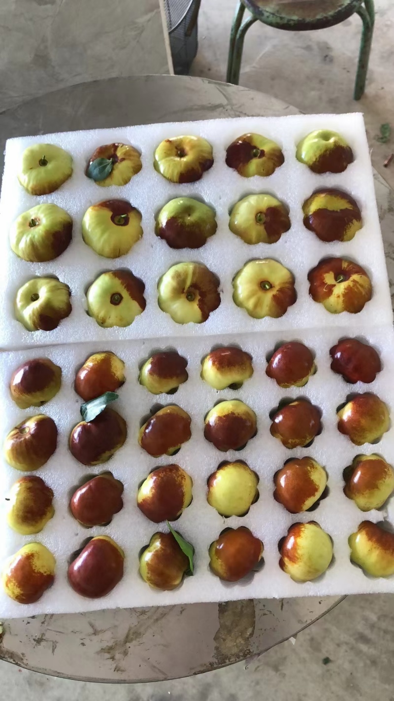 云南甜枣