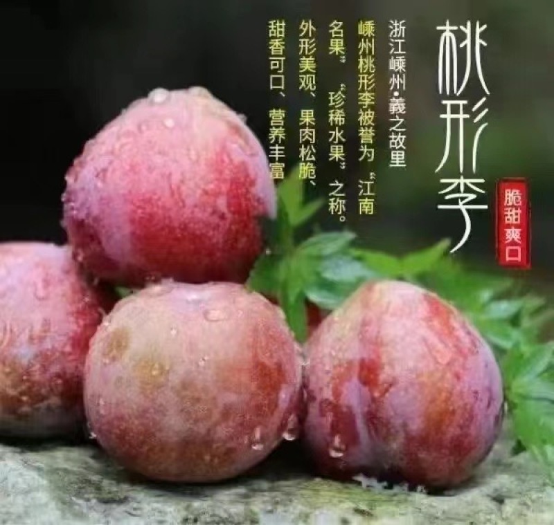 嵊州王羲之故居桃行李下个月就上市了！有需要的可以联系我了