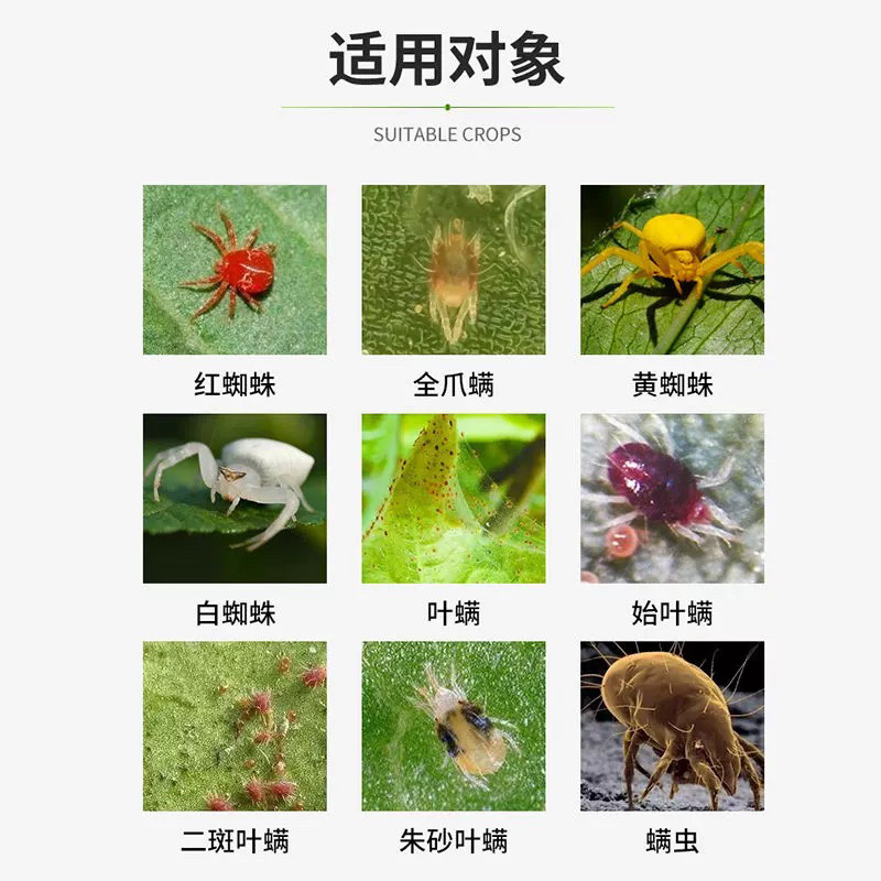 危满盖-40%联肼·乙螨唑（货源充足咨询优惠）