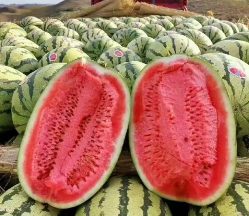 硒砂瓜湖北硒砂瓜湖北西瓜甜度高皮薄可视频看货