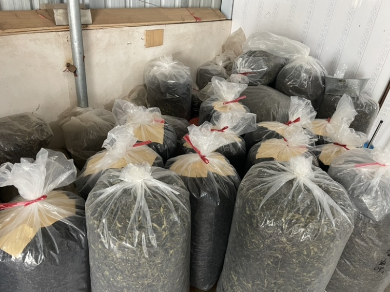 凤凰单丛茶产区批发