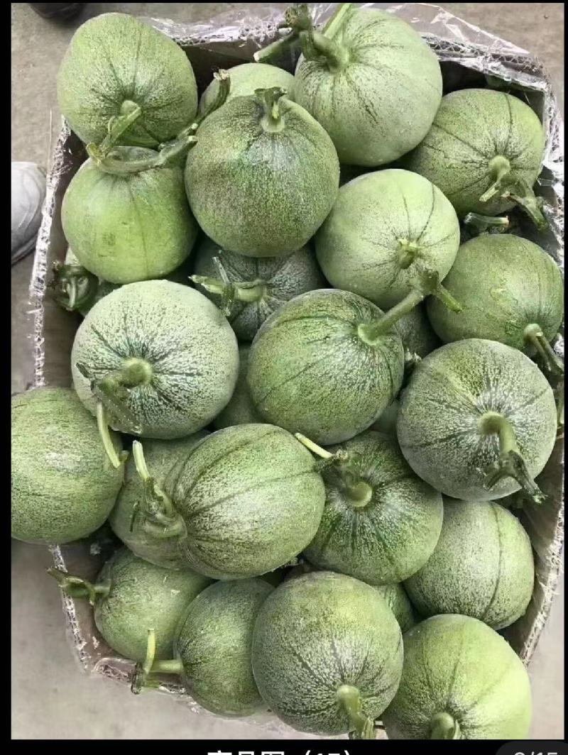 甜瓜绿宝石山东甜瓜全国发货口感脆