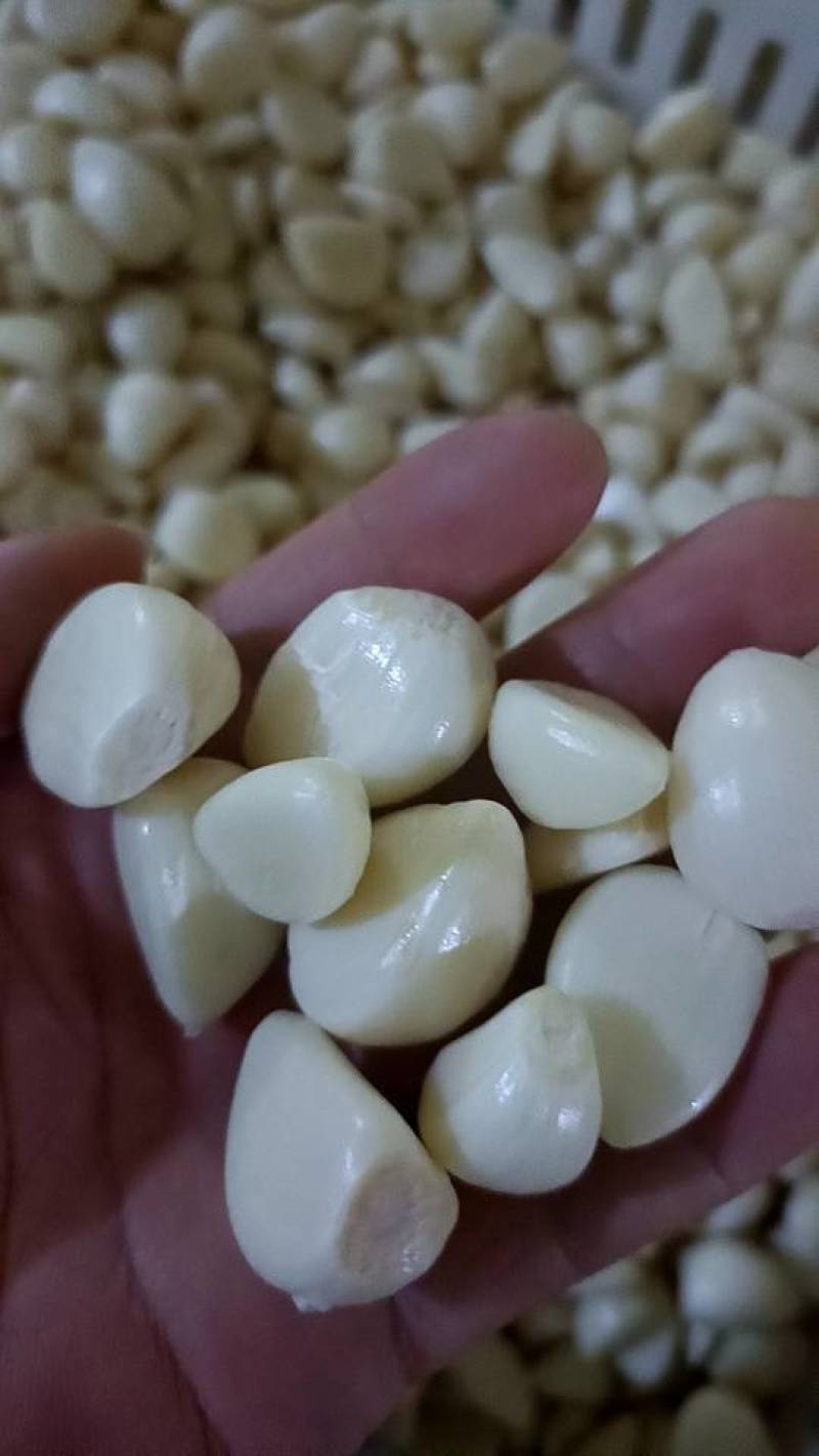 手工蒜米