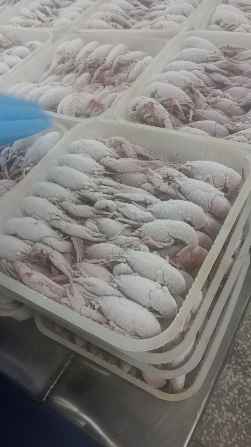 【原味小龙虾】456钱液氮油炸虾