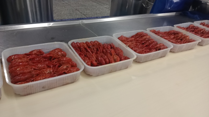 【原味小龙虾】456钱液氮油炸虾