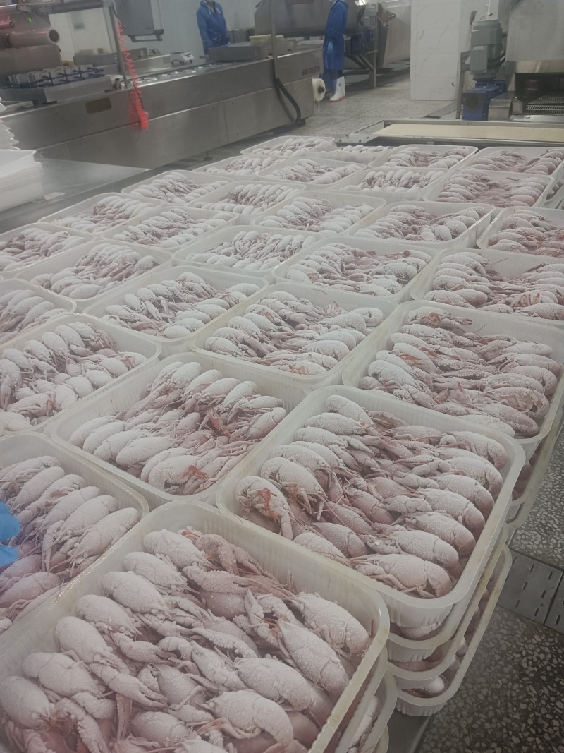 【原味小龙虾】456钱液氮油炸虾