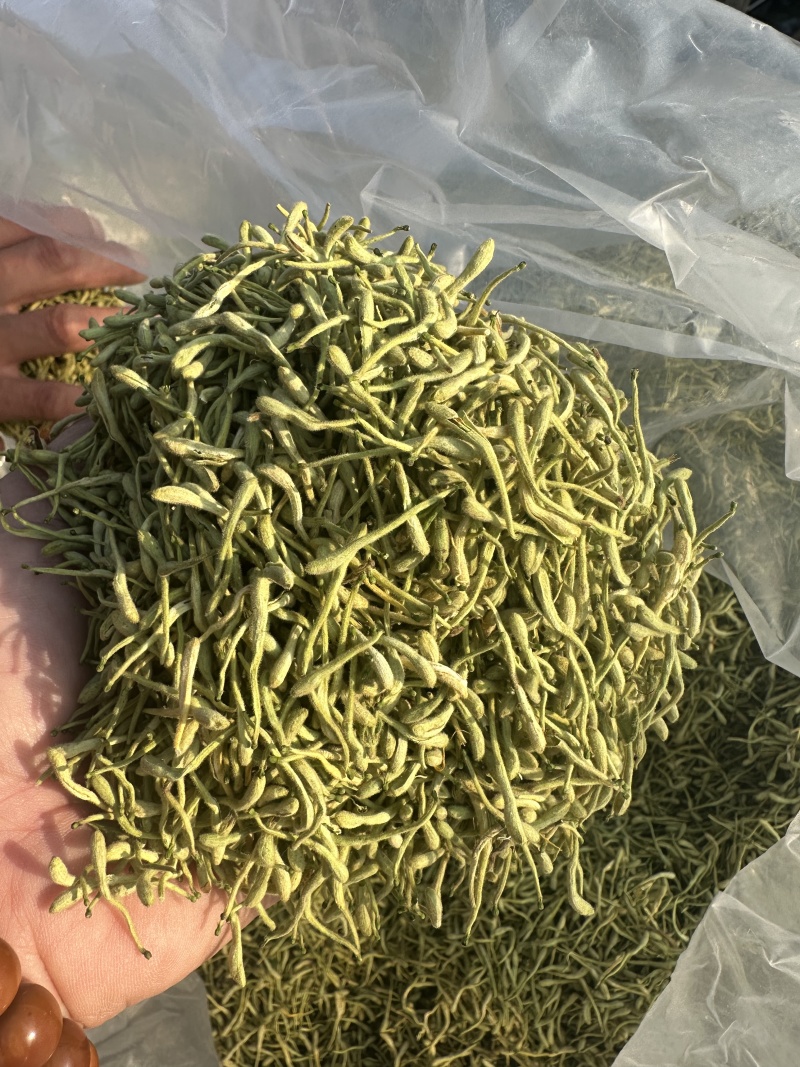 金银花河北产过筛选货无掺杂泡水2斤起包邮