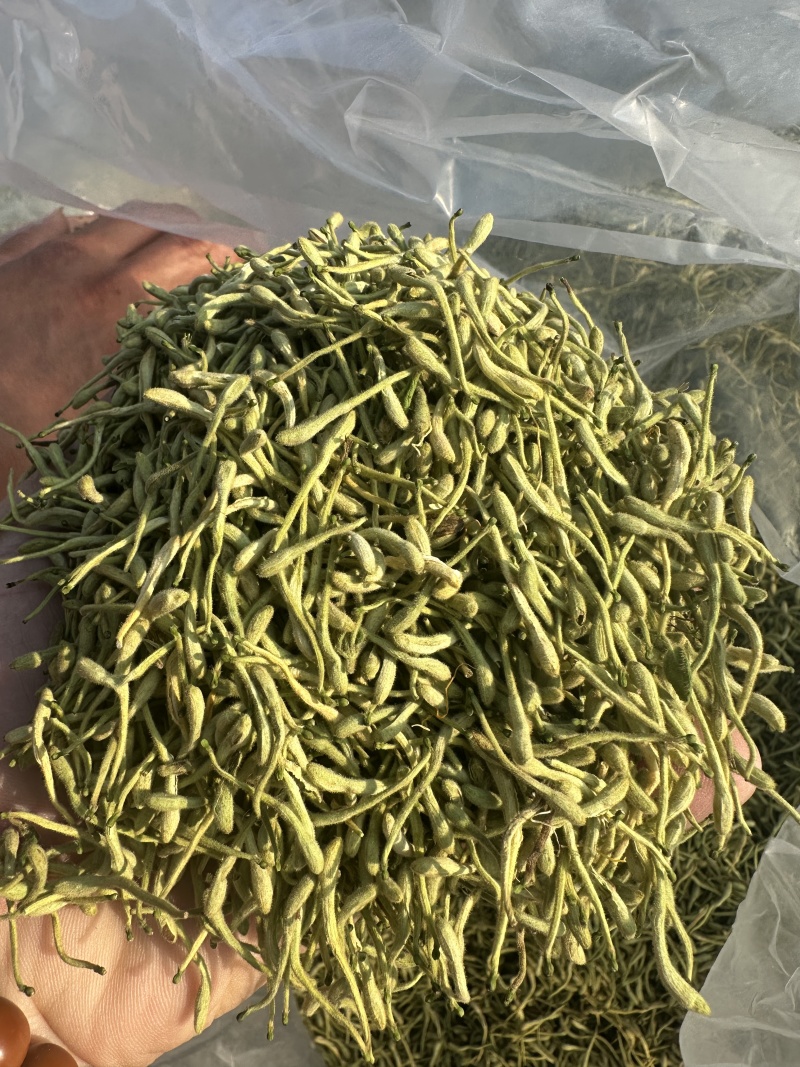 金银花河北产过筛选货无掺杂泡水2斤起包邮