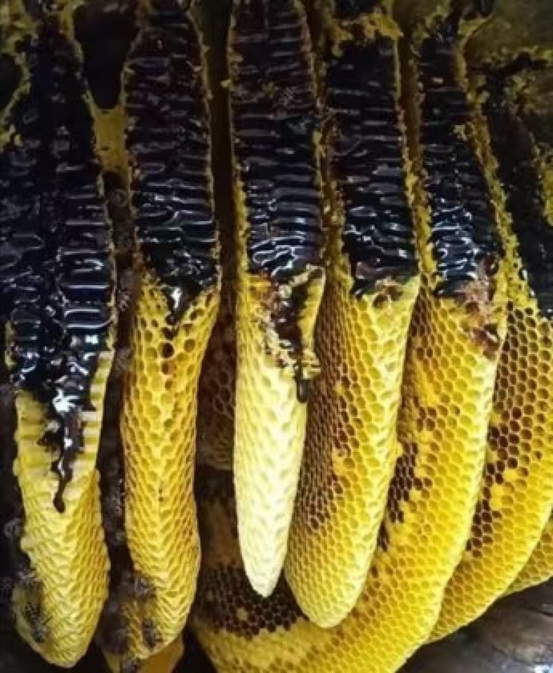 哀牢山自产黑土蜂蜜（花香味浓郁，一年一季）