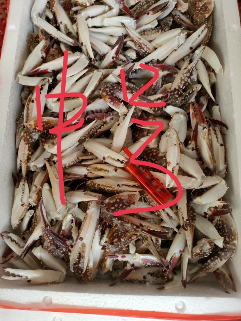 中号/大号梭子蟹钳，7斤/件。