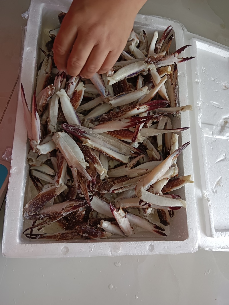 中号/大号梭子蟹钳，7斤/件。