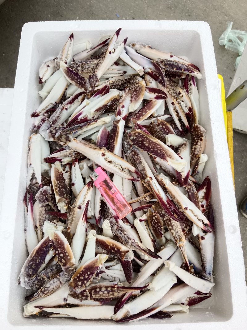 中号/大号梭子蟹钳，7斤/件。