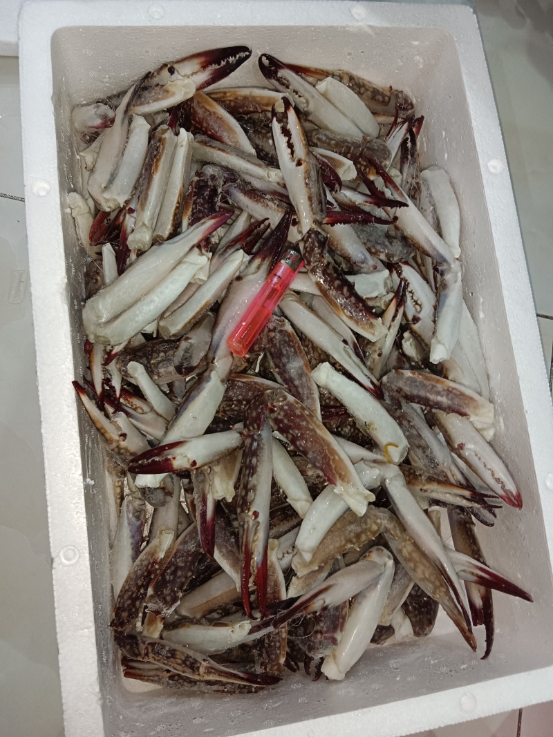中号/大号梭子蟹钳，7斤/件。