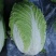 黄心白菜