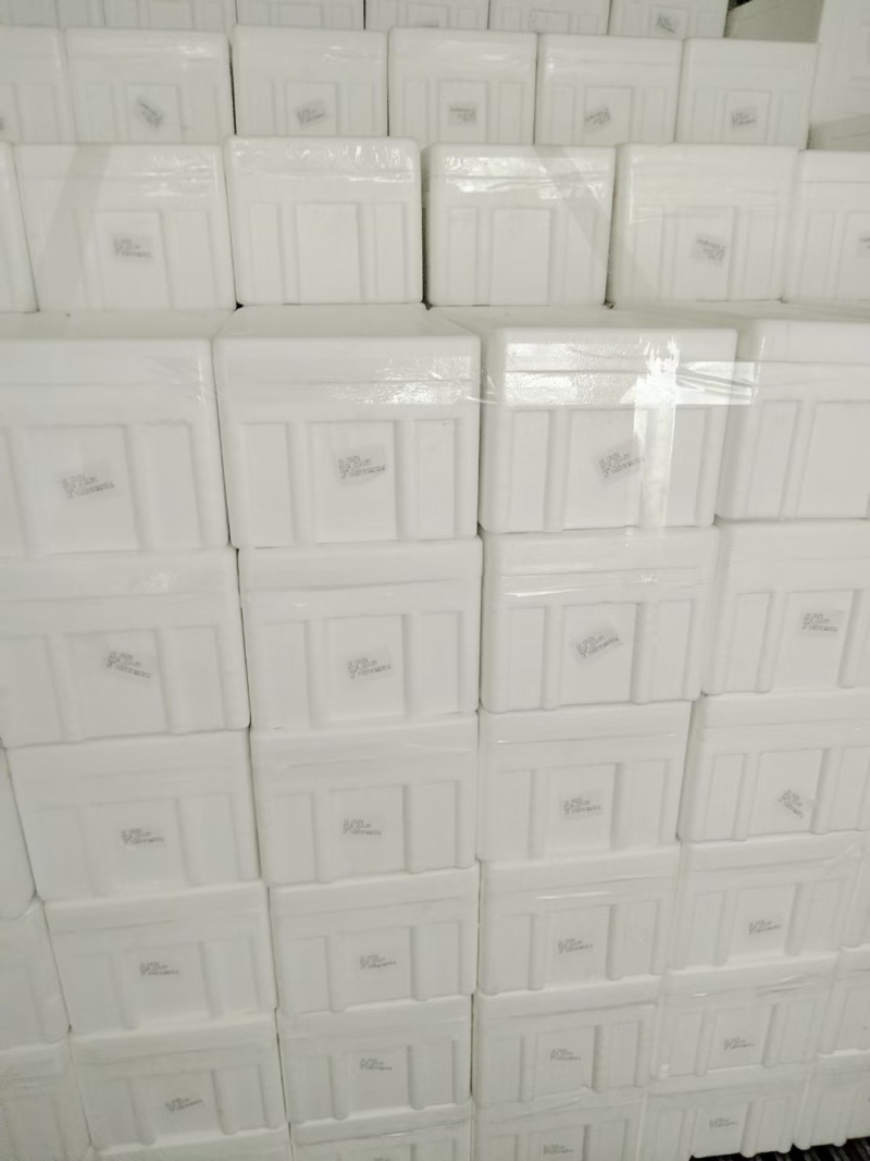 半壳江瑶贝