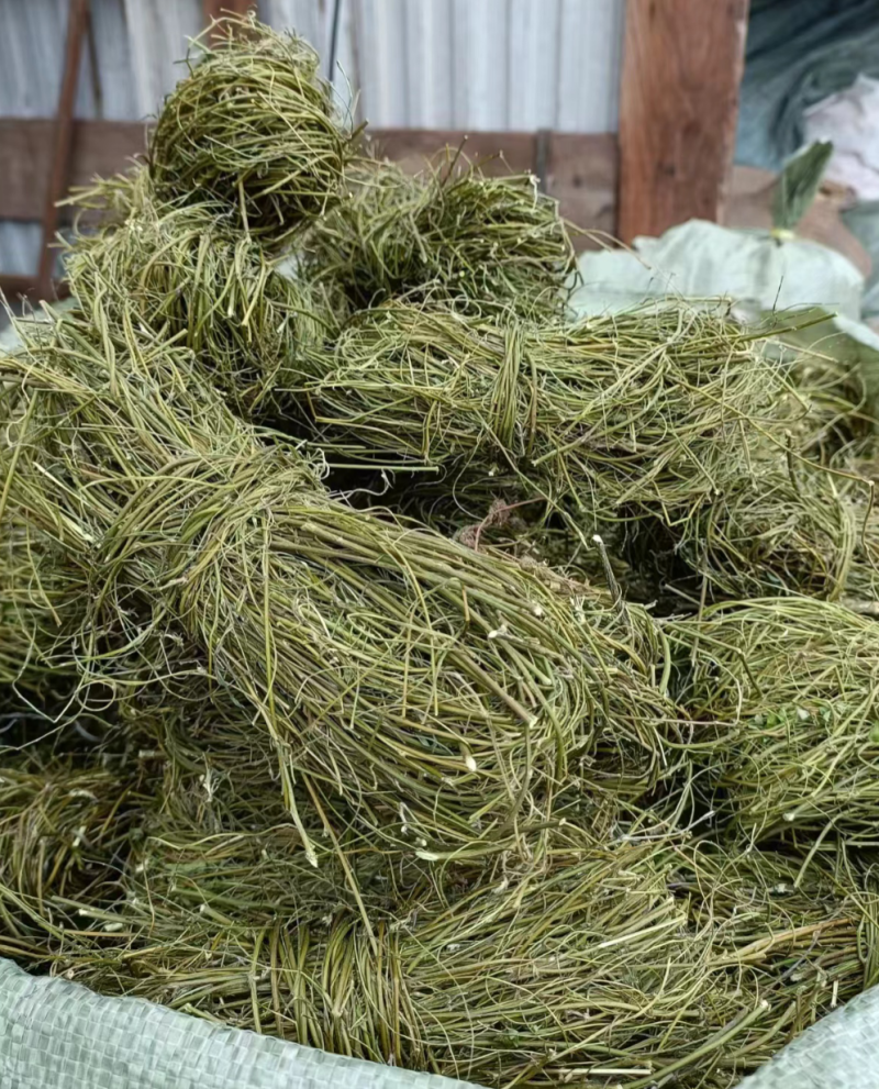 甘甜扎把鸡骨草质量保证欢迎联系采购量大从优