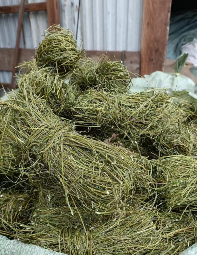 甘甜扎把鸡骨草质量保证欢迎联系采购量大从优