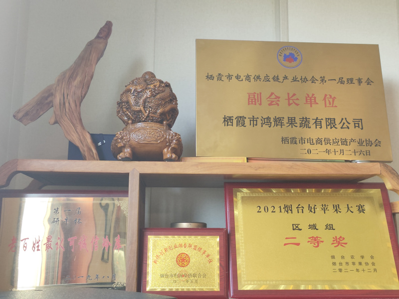 栖霞苹果红富士次果果脯果汁果醋果脆苹果深加工