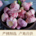糖蒜糖醋蒜瓣【腌蒜】精选袋装2025新蒜