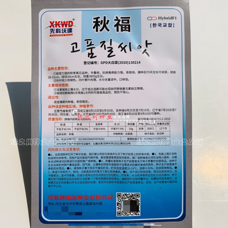 秋季白菜籽秋福黄芯大白菜种子丰产抗病强结球力强半叠抱白菜