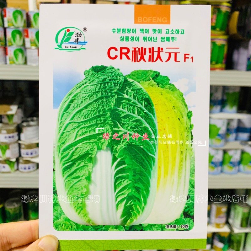 CR秋状元秋季高品质黄芯大白菜种子口感好内叶鲜黄白菜种籽