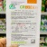 CR秋状元秋季高品质黄芯大白菜种子口感好内叶鲜黄白菜种籽