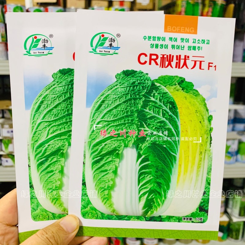 CR秋状元秋季高品质黄芯大白菜种子口感好内叶鲜黄白菜种籽