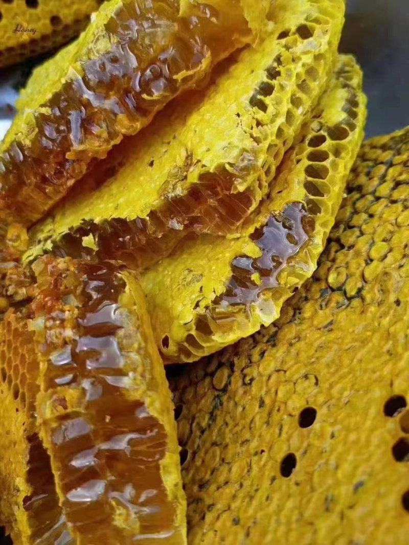 云南野生土蜂蜜，批发一件代发皆可欢迎致电