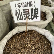 仙灵脾