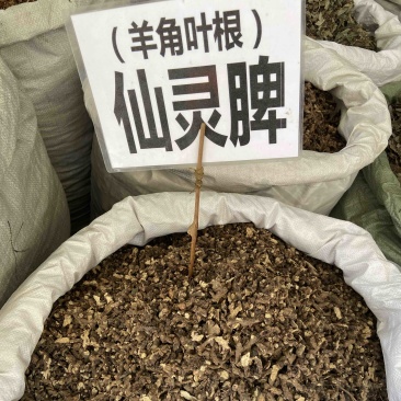 仙灵脾