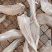 沙丁鱼干展会地摊电商深海沙丁鱼干沙甲鱼干干鱼