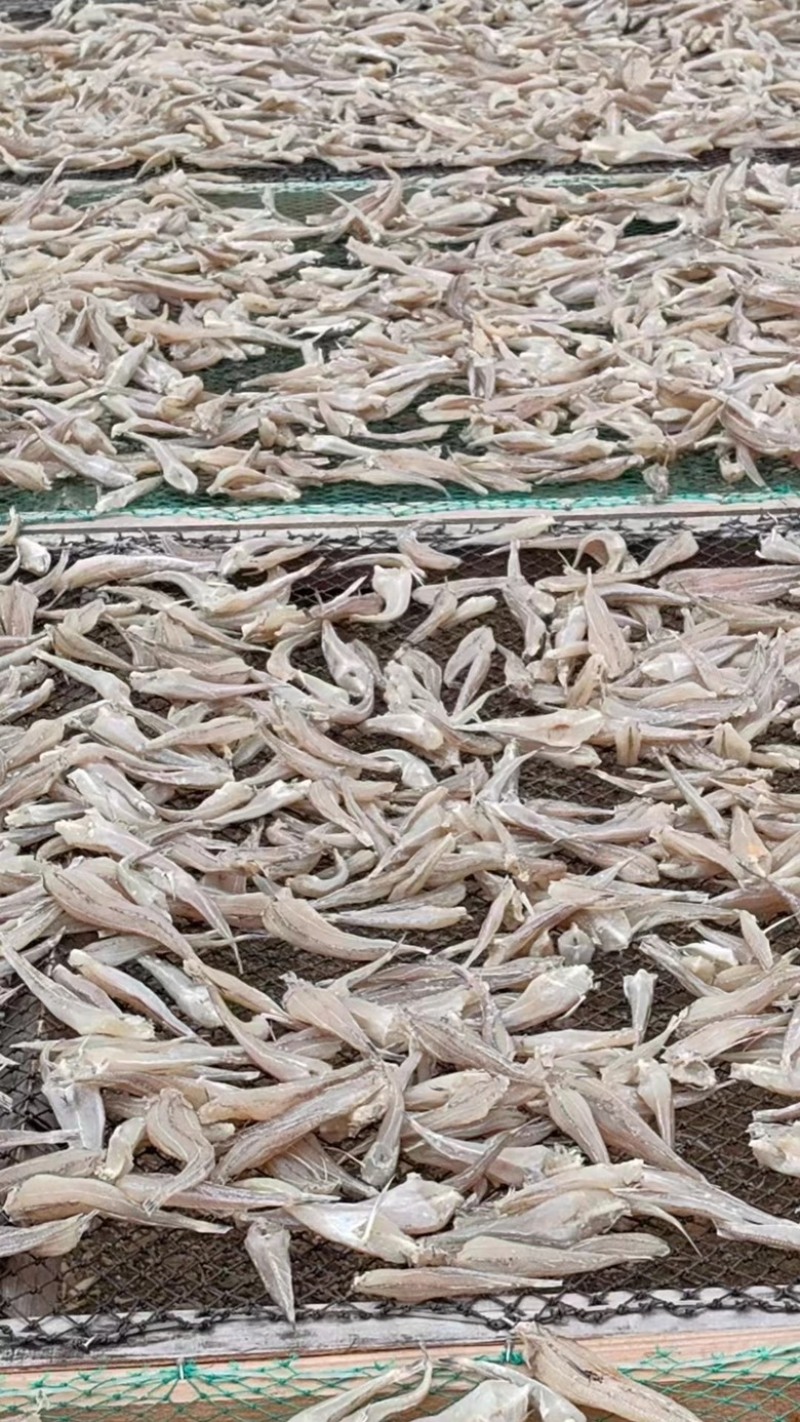 沙丁鱼干展会地摊电商深海沙丁鱼干沙甲鱼干