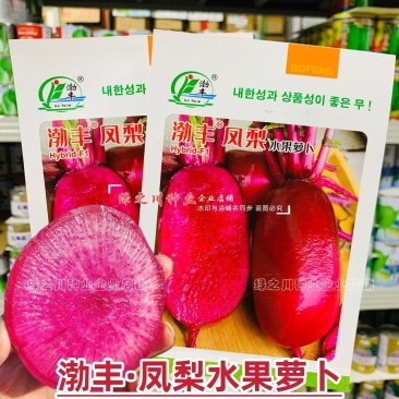 杂交红皮红肉萝卜种子渤丰凤梨水果萝卜种籽秋季红萝卜籽甜脆