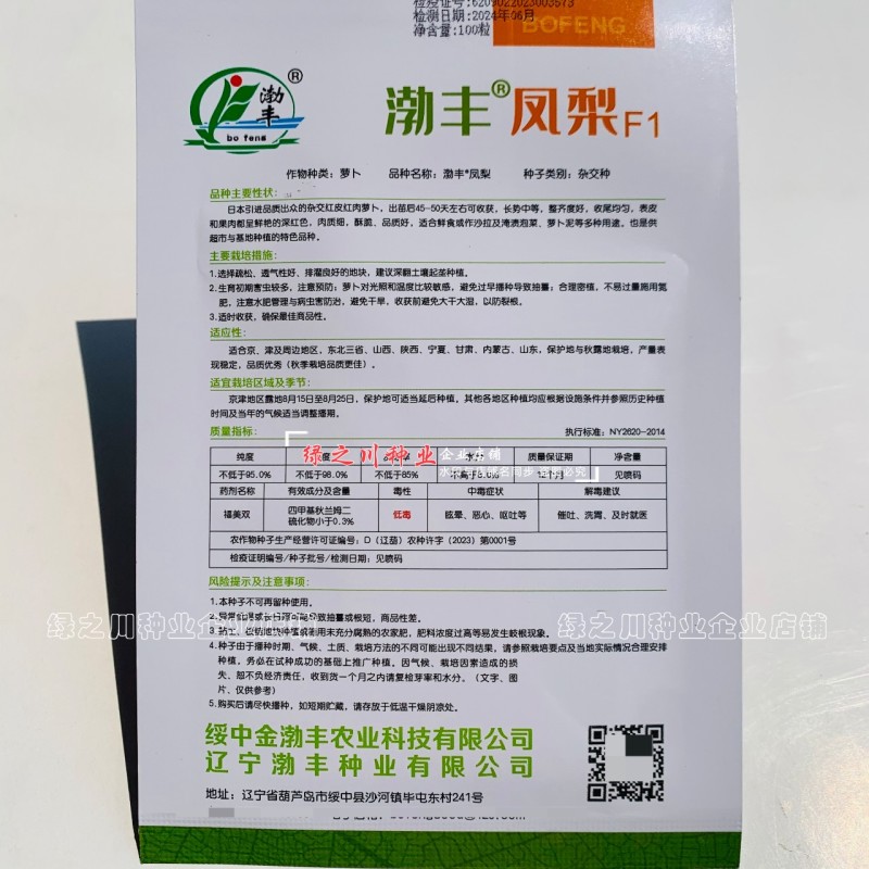 杂交红皮红肉萝卜种子渤丰凤梨水果萝卜种籽秋季红萝卜籽甜脆
