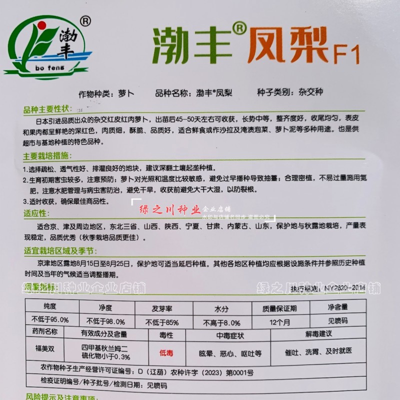 杂交红皮红肉萝卜种子渤丰凤梨水果萝卜种籽秋季红萝卜籽甜脆