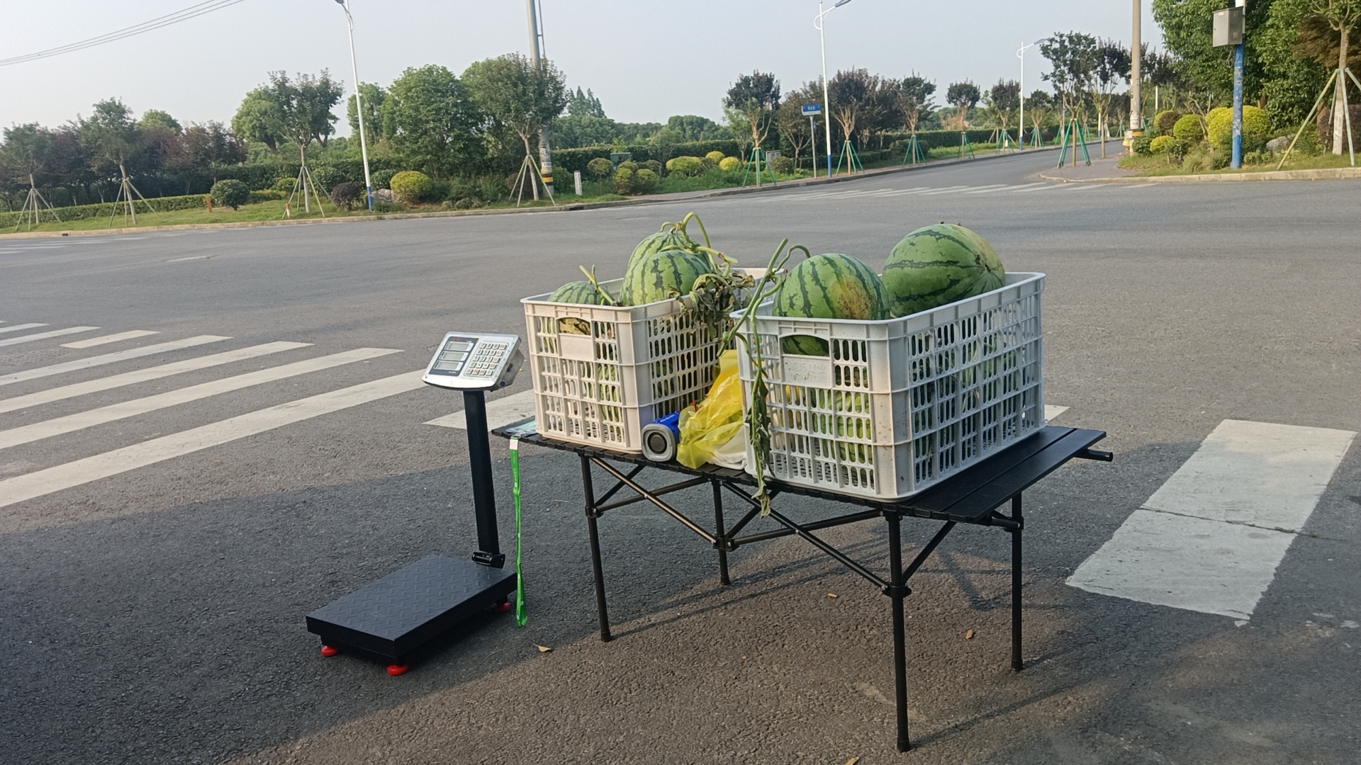 顾客在超市挑选美都西瓜的场景