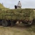 紫花苜蓿草批发甘肃玉门头茬苜蓿草全国发货常年有货产地