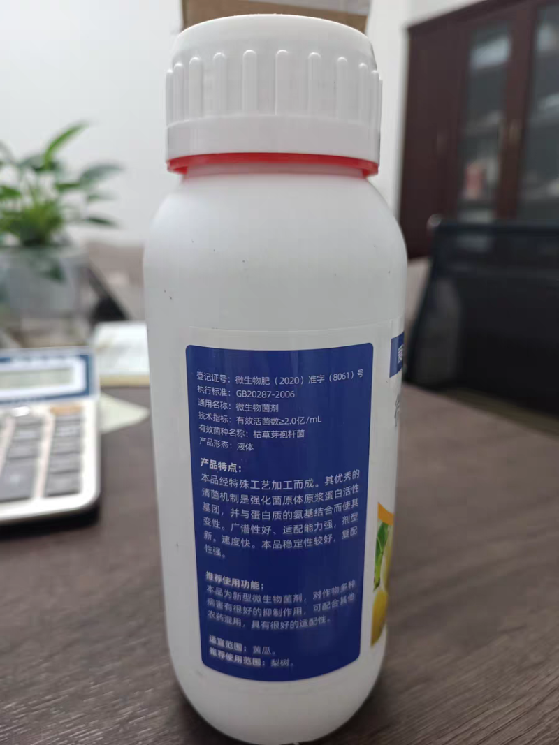番茄病菌净番茄专用晚疫病棉疫病溃疡病猝倒病黄枯萎早疫