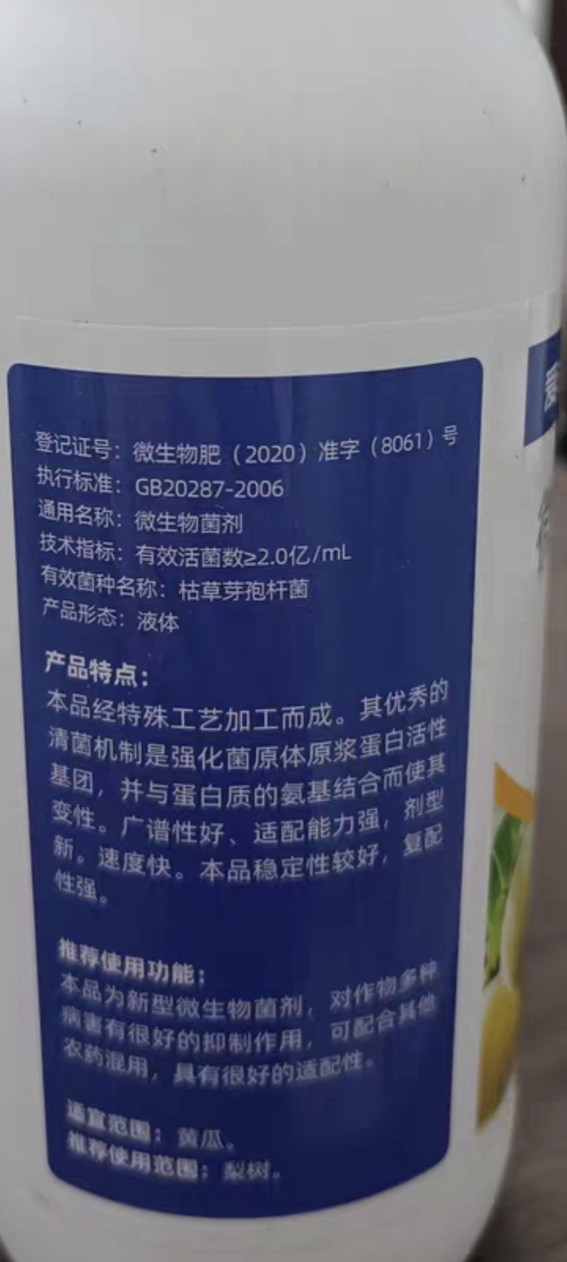 番茄病菌净番茄专用晚疫病棉疫病溃疡病猝倒病黄枯萎早疫