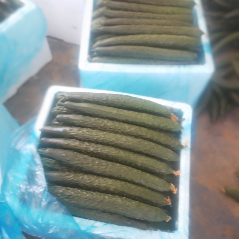 贵州黄瓜密刺黄瓜吃味好耐运输，价格实惠，产地直供一手货源
