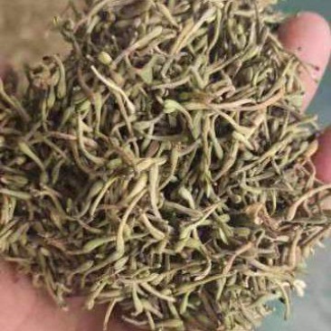 金银花净货