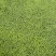 浮萍又名：青萍、田萍、浮萍草、水浮萍、水萍草